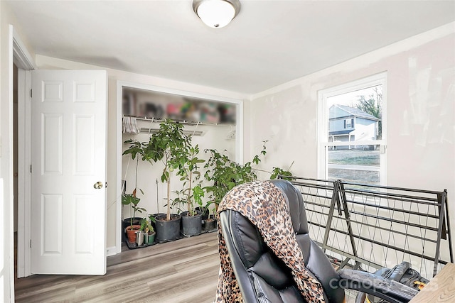 living area featuring wood finished floors