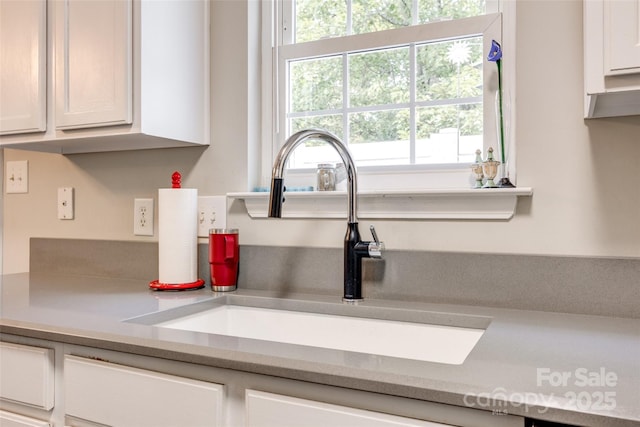 interior details featuring a sink