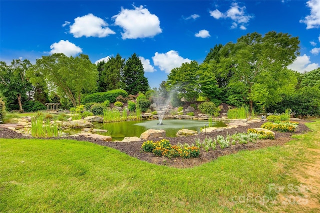 view of home's community with a lawn