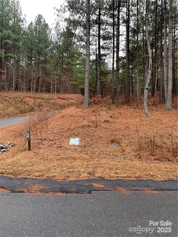 236/242 E Hawksbill Ln NW Unit 54/55, Morganton NC, 28655 land for sale