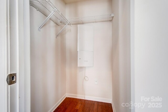 spacious closet featuring dark wood finished floors