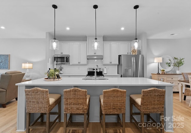 kitchen featuring tasteful backsplash, appliances with stainless steel finishes, light wood-type flooring, under cabinet range hood, and a sink