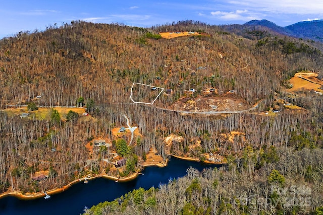 birds eye view of property with a forest view and a water and mountain view