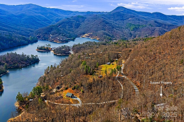 birds eye view of property with a forest view and a water and mountain view