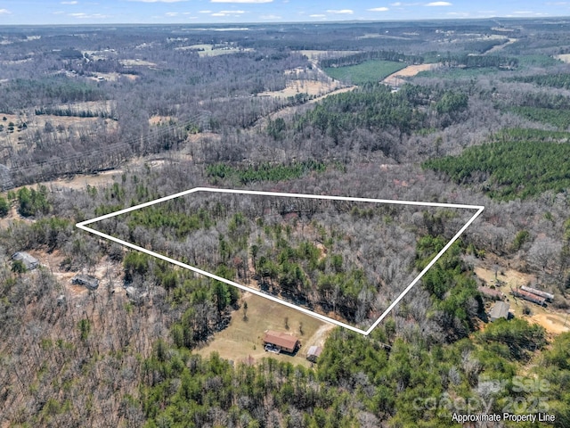 00 Petite Ct, Rutherfordton NC, 28139 land for sale