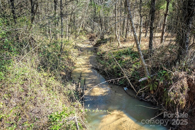 view of local wilderness