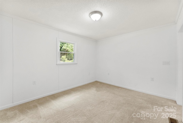 228 Tot Dellinger Rd, Cherryville, NC 28021 - spare room featuring ornamental molding, light colored carpet, baseboards, and a textured ceiling