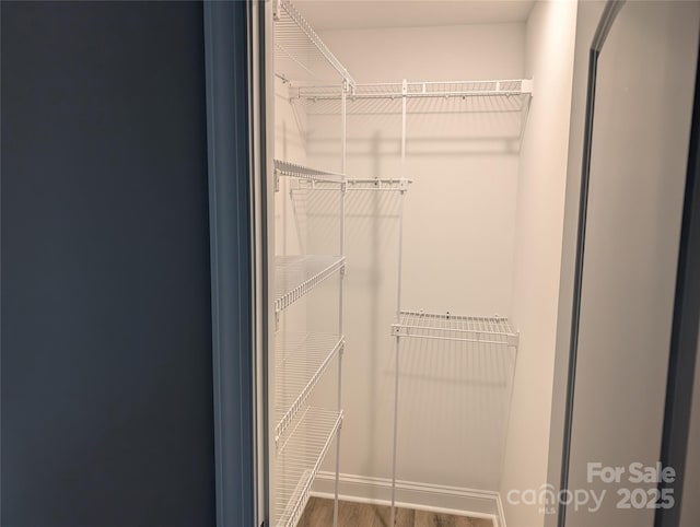 spacious closet with wood finished floors