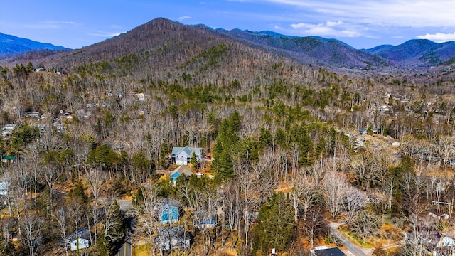 property view of mountains featuring a view of trees