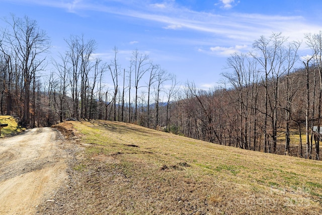 Listing photo 3 for 77 Mcdaris Cove Rd, Asheville NC 28787