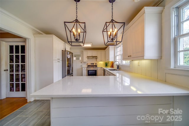 kitchen featuring a peninsula, wood finished floors, a sink, appliances with stainless steel finishes, and crown molding