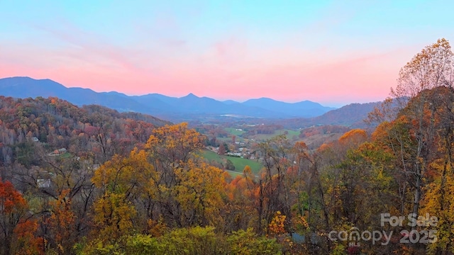 property view of mountains with a view of trees