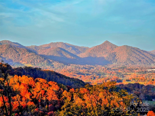 mountain view with a wooded view