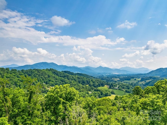 property view of mountains featuring a wooded view