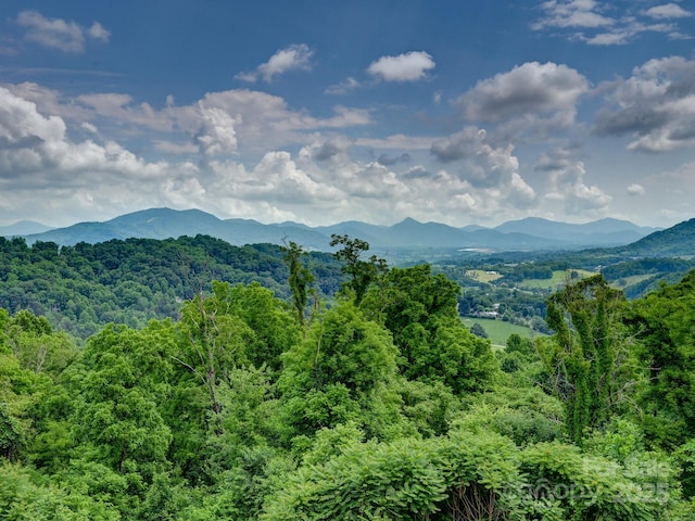 mountain view featuring a wooded view