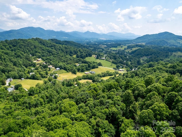 property view of mountains with a forest view