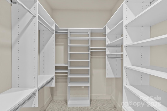 view of walk in closet