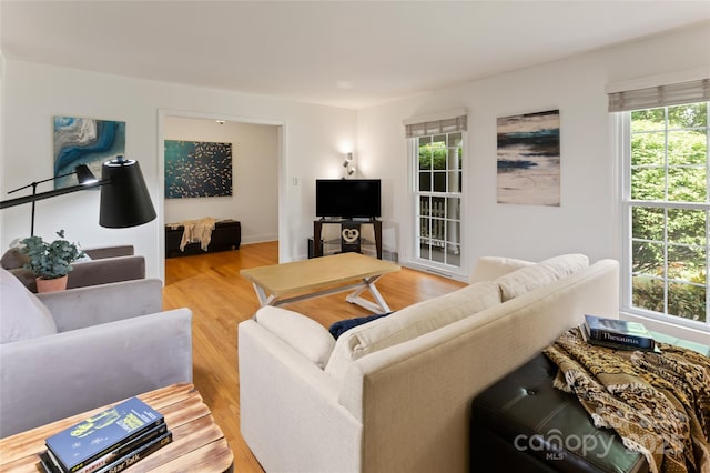 living room featuring light wood-style flooring