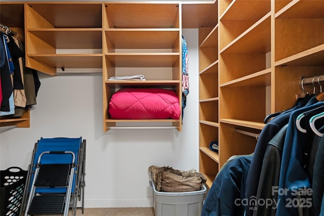 walk in closet featuring carpet floors