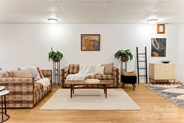 living area with a drop ceiling and light wood-style floors