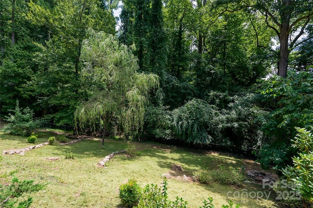 view of yard featuring a forest view