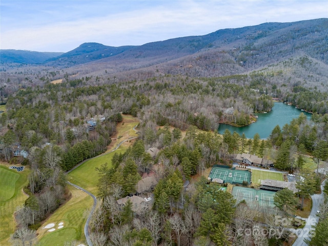 aerial view featuring a water and mountain view and a wooded view