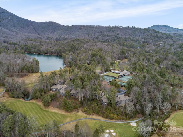 birds eye view of property featuring a forest view and a water and mountain view