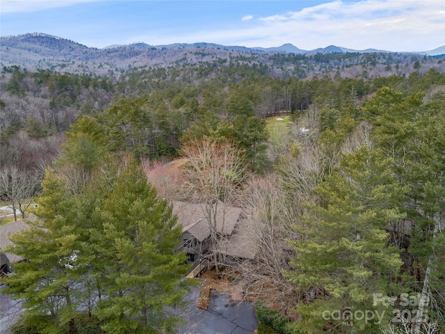 property view of mountains featuring a wooded view