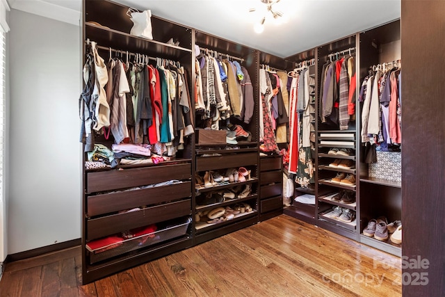 walk in closet with wood finished floors