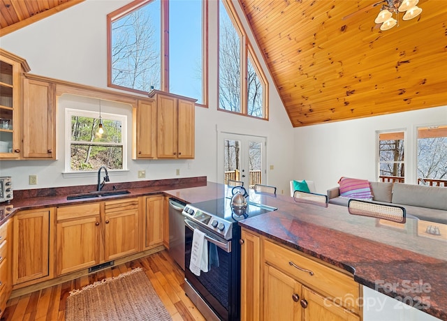 kitchen featuring light wood finished floors, wood ceiling, stainless steel appliances, and a sink