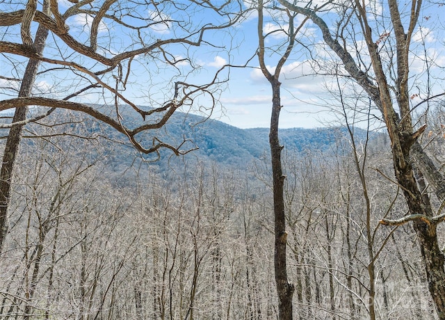 view of mountain feature featuring a forest view