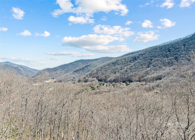 mountain view featuring a forest view