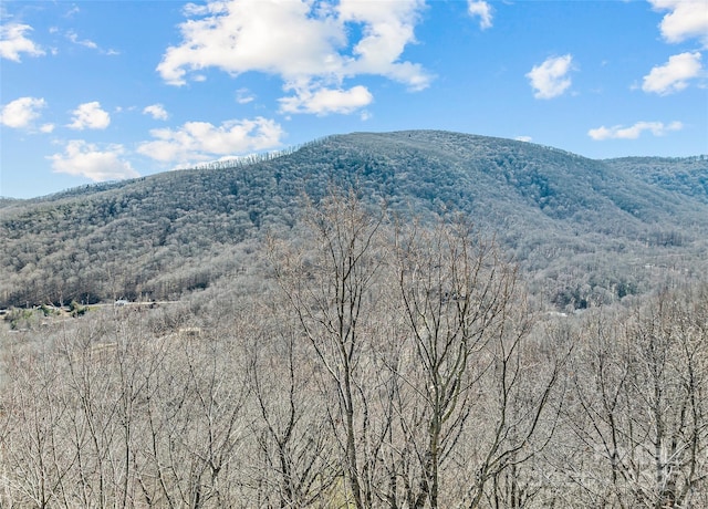 property view of mountains featuring a view of trees