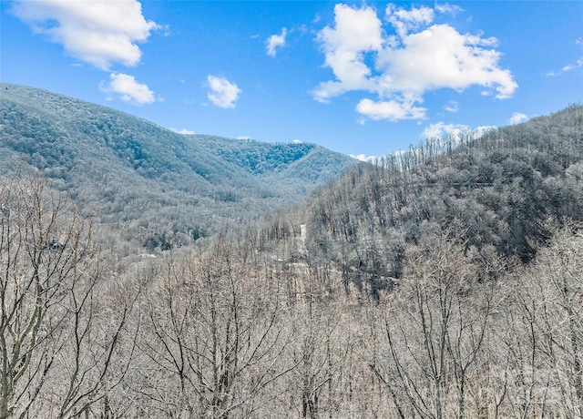 view of mountain feature featuring a forest view