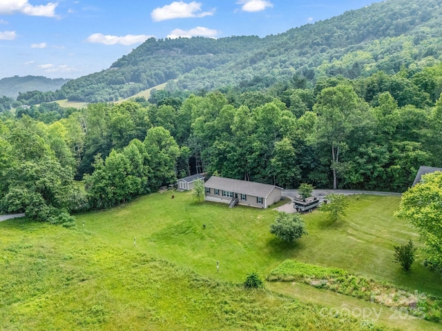 981 Gilliam Mountain Rd, Hendersonville, NC 28792 - view of subject property with a heavily wooded area and a mountain backdrop