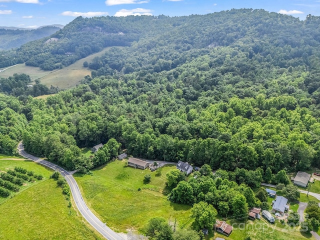 981 Gilliam Mountain Rd, Hendersonville, NC 28792 - bird's eye view of a forest and a mountain backdrop