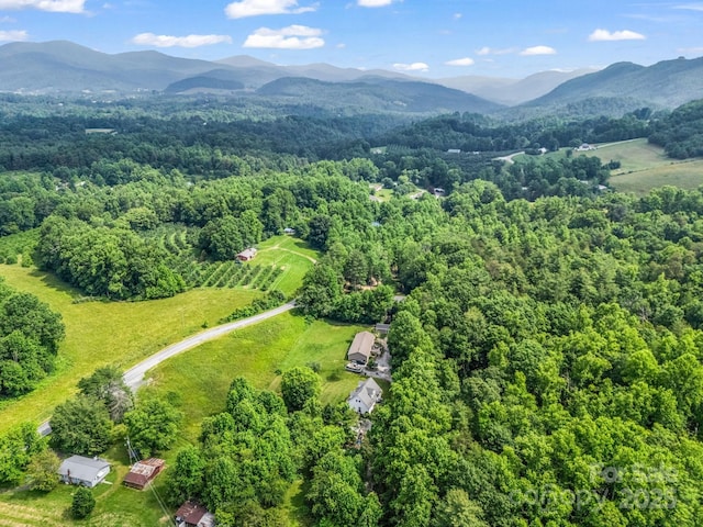 981 Gilliam Mountain Rd, Hendersonville, NC 28792 - bird's eye view of a forest and a mountainous background