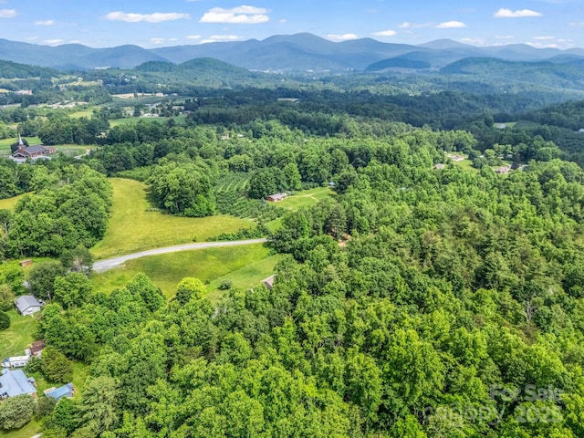 981 Gilliam Mountain Rd, Hendersonville, NC 28792 - bird's eye view of a heavily wooded area and a mountain backdrop