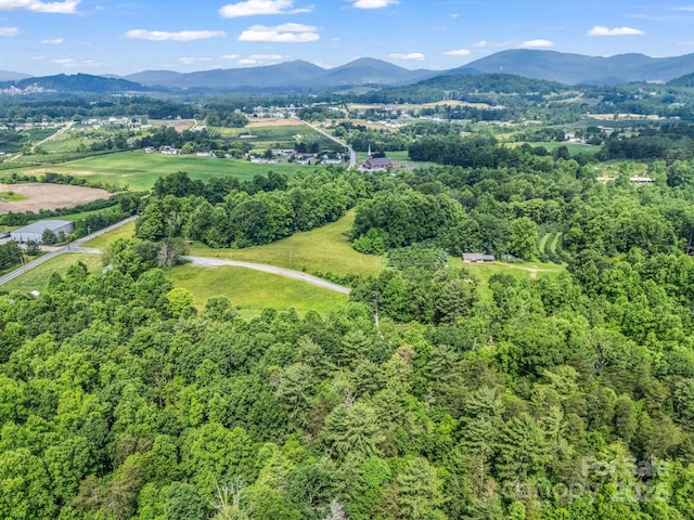 981 Gilliam Mountain Rd, Hendersonville, NC 28792 - aerial overview of property's location with a mountainous background