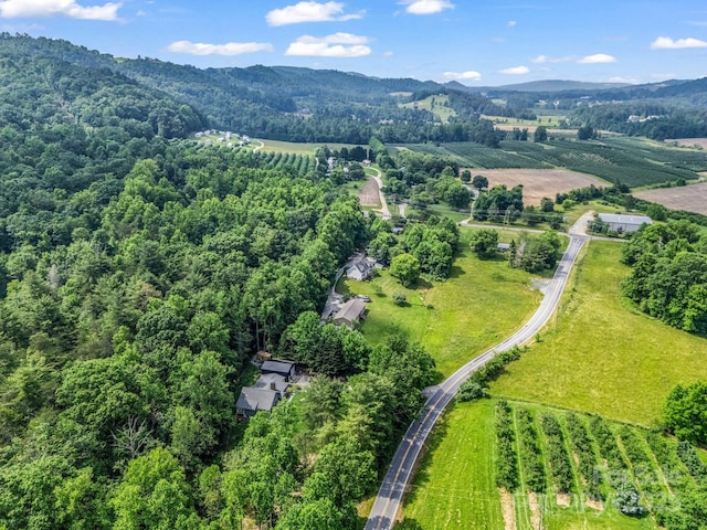 981 Gilliam Mountain Rd, Hendersonville, NC 28792 - aerial view of sparsely populated area with a mountain backdrop