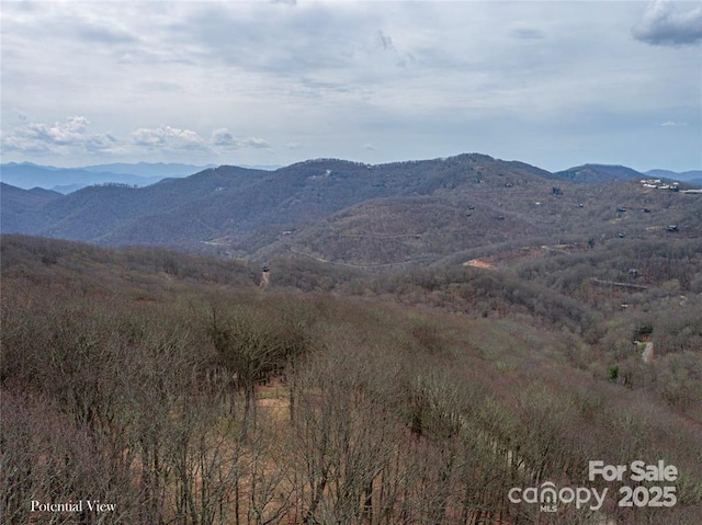 0 Grouse Thicket Ln Lot 262, Mars Hill NC, 28754 land for sale