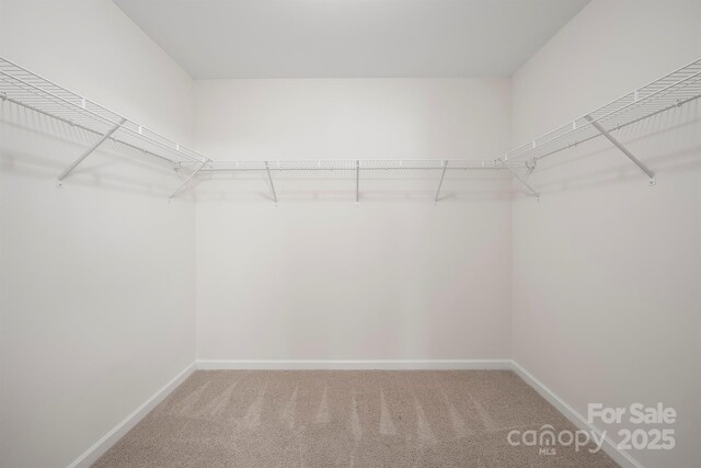 walk in closet with light carpet