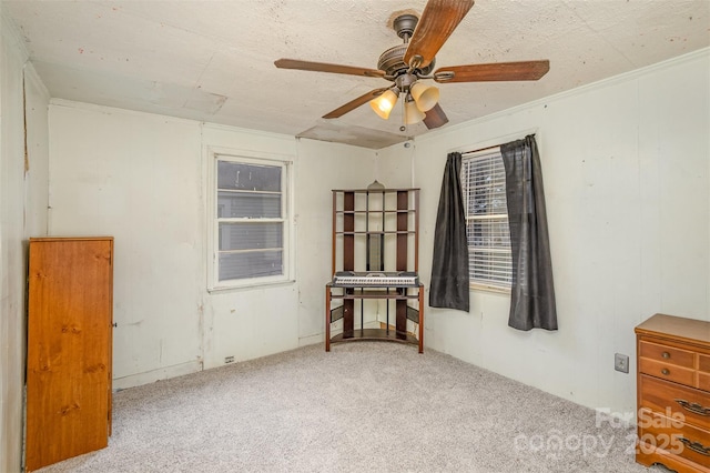 empty room featuring a ceiling fan and carpet