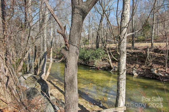 property view of water featuring a wooded view