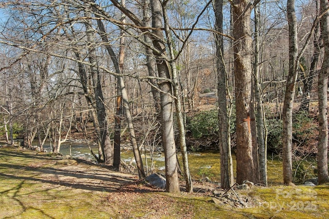 view of local wilderness with a wooded view