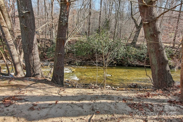 view of local wilderness with a forest view