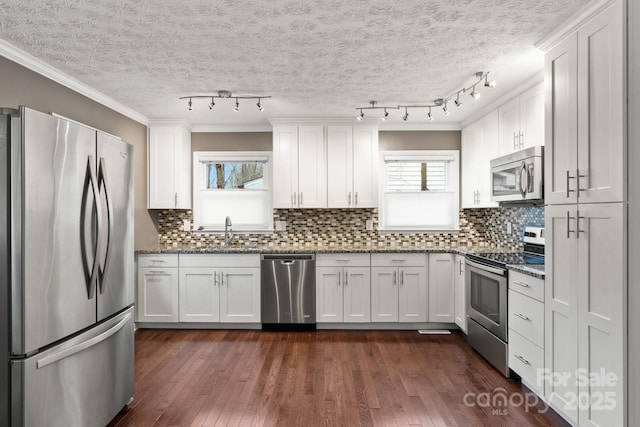 kitchen featuring a sink, a healthy amount of sunlight, dark wood finished floors, and stainless steel appliances