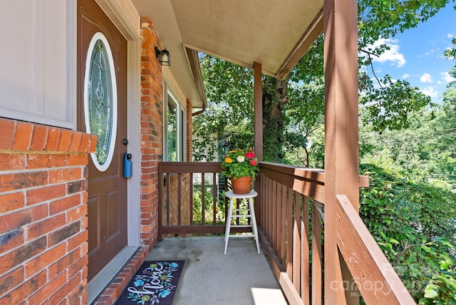 30 Oregon Ave, Asheville, NC 28806 - photo 3