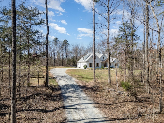 view of street with driveway