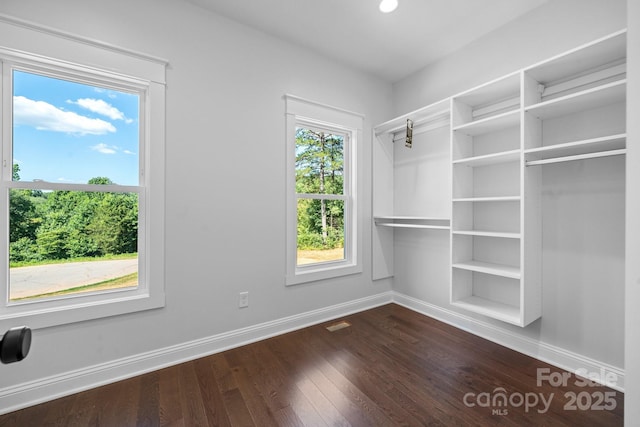 spacious closet featuring dark wood-type flooring